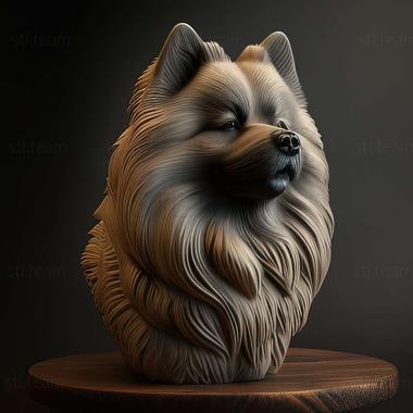 3D model Keeshond dog (STL)